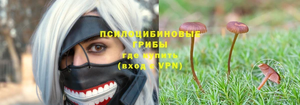 mix Богородск