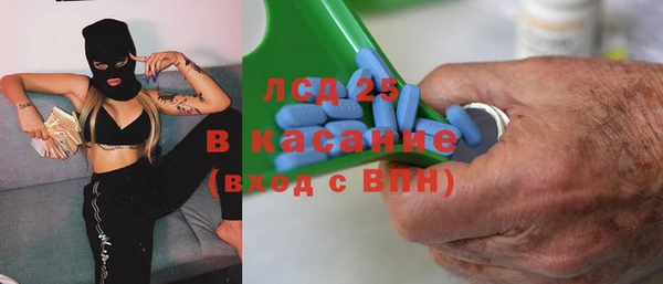 спайс Богданович