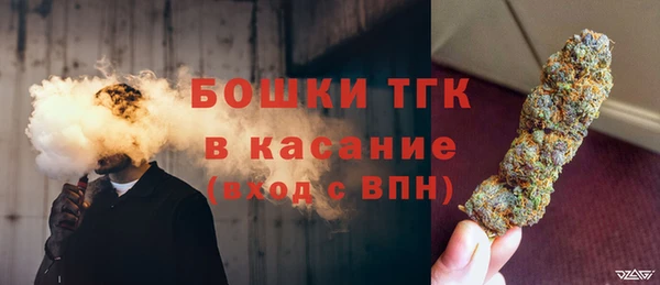 дживик Богородицк