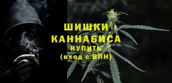 дживик Богородицк