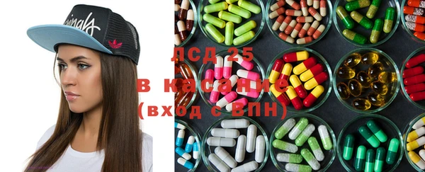 спайс Богданович