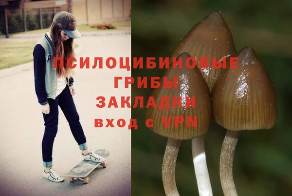 mix Богородск