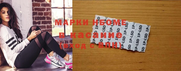 дживик Богородицк