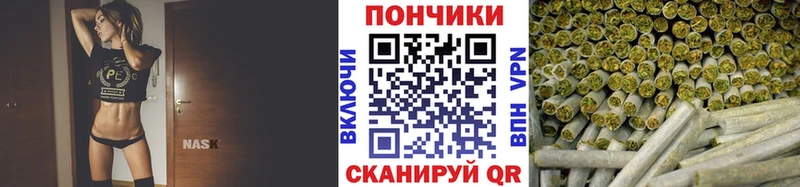 Конопля Bruce Banner  kraken как зайти  Новоузенск 